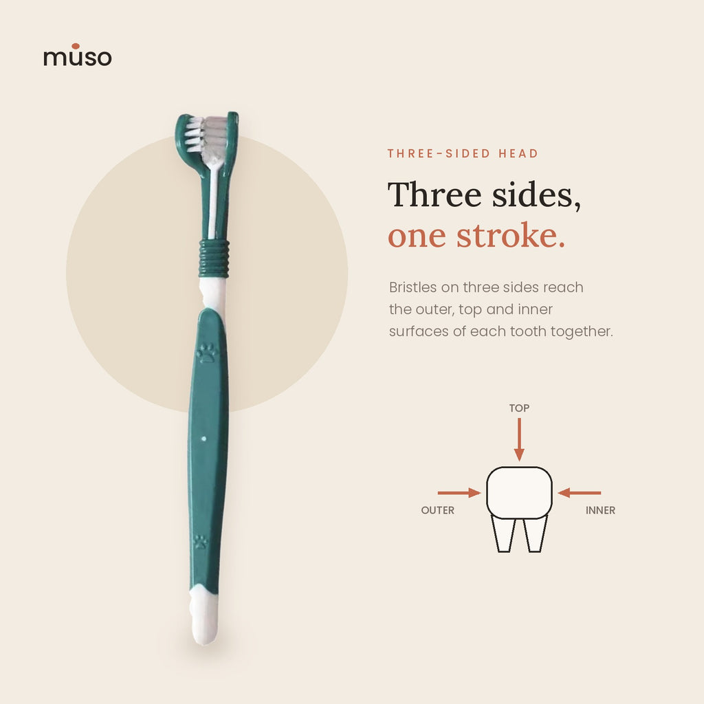 The Triple Brush – Three-Sided Dog Toothbrush