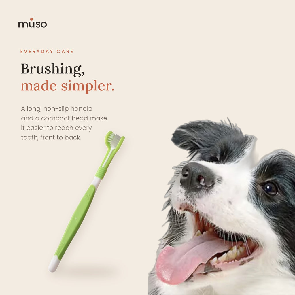 The Triple Brush – Three-Sided Dog Toothbrush
