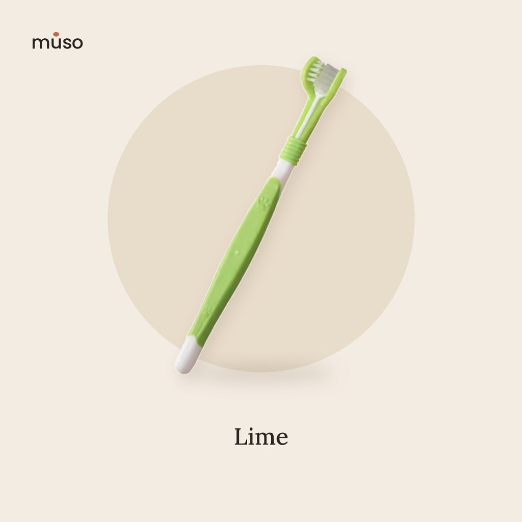 The Triple Brush – Three-Sided Dog Toothbrush