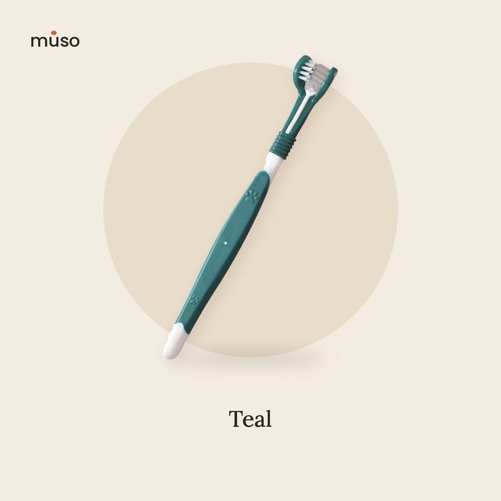 The Triple Brush – Three-Sided Dog Toothbrush