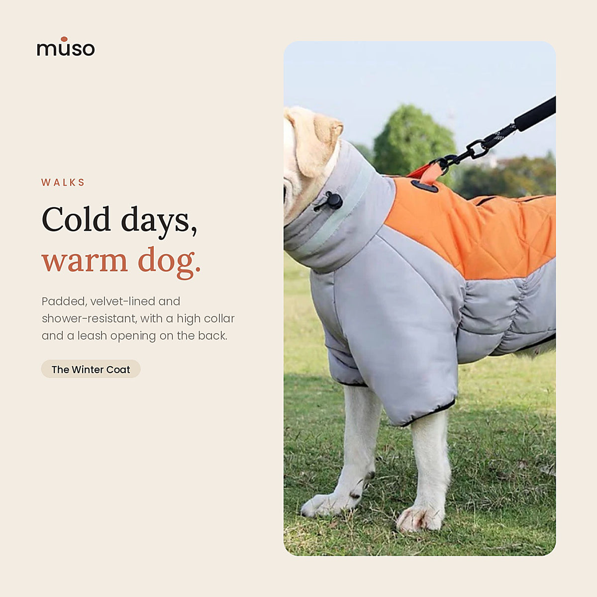 The Winter Coat: in use at home