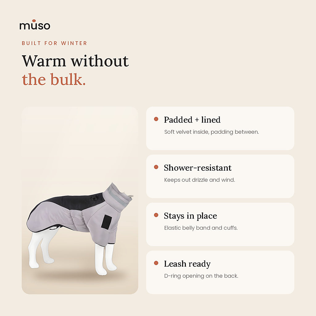 The Winter Coat: key benefits