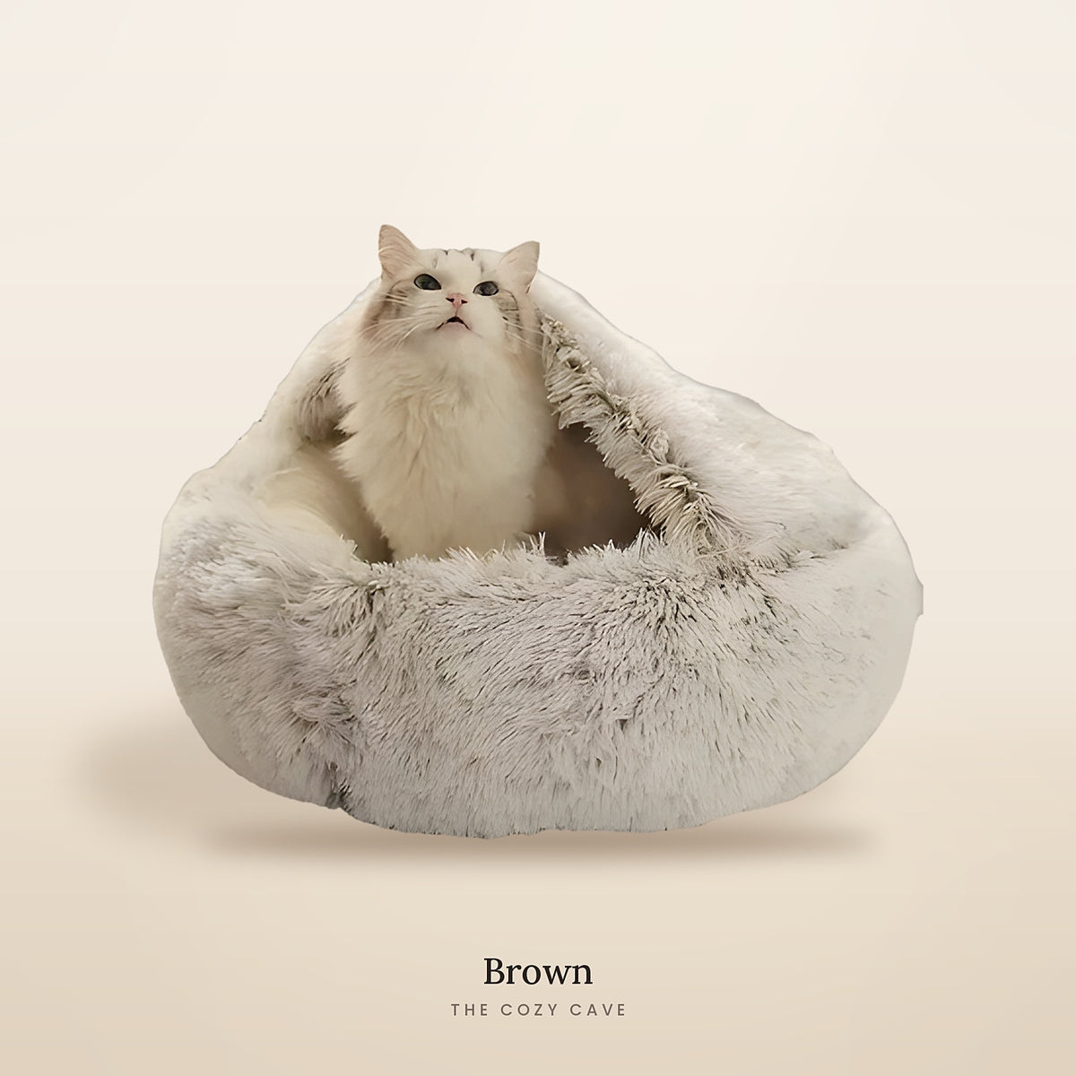 The Cozy Cave in Brown