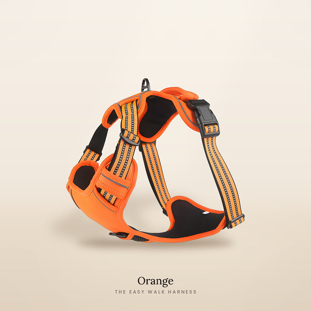 The Easy Walk Harness in Orange