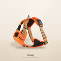 The Easy Walk Harness in Orange