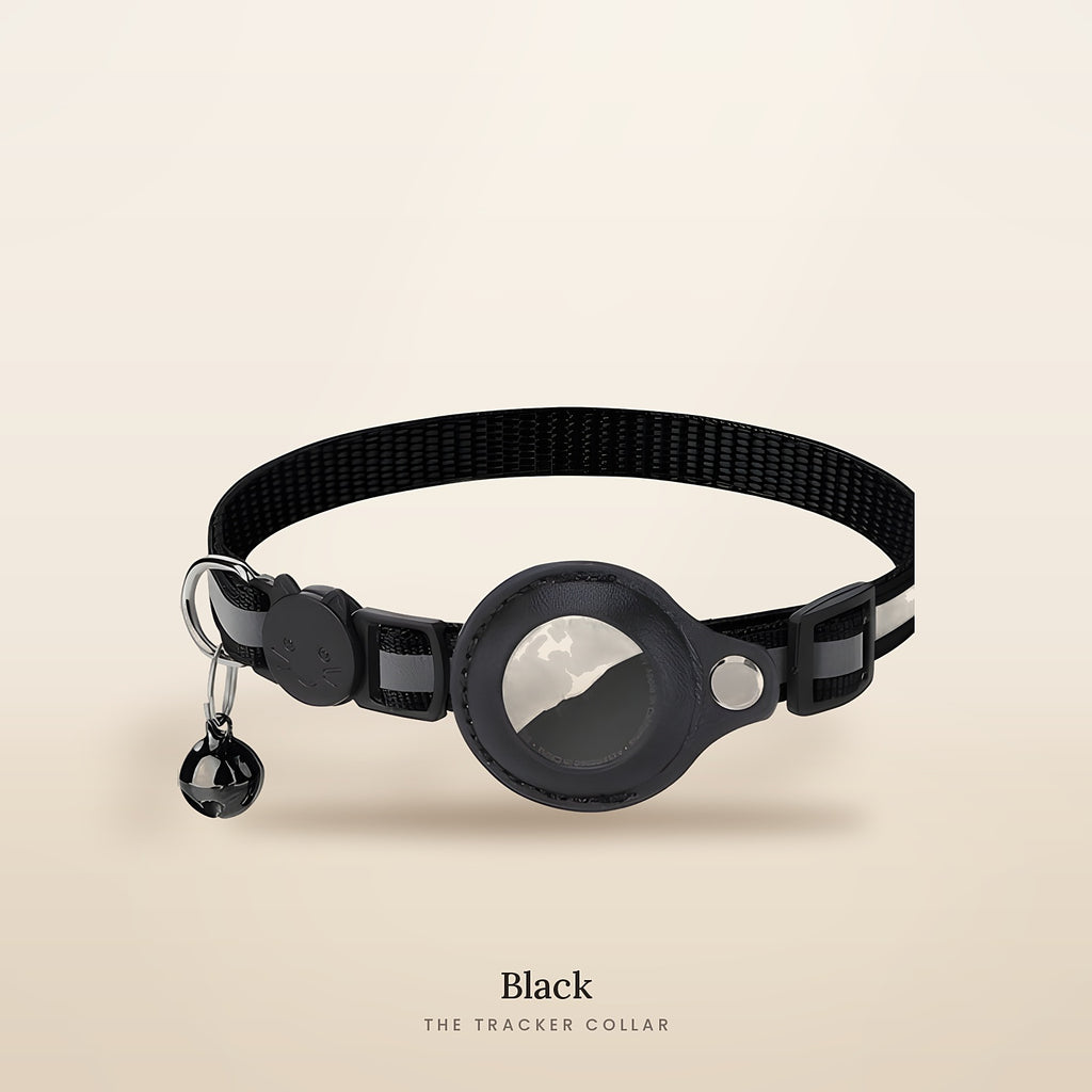 The Tracker Collar in Black