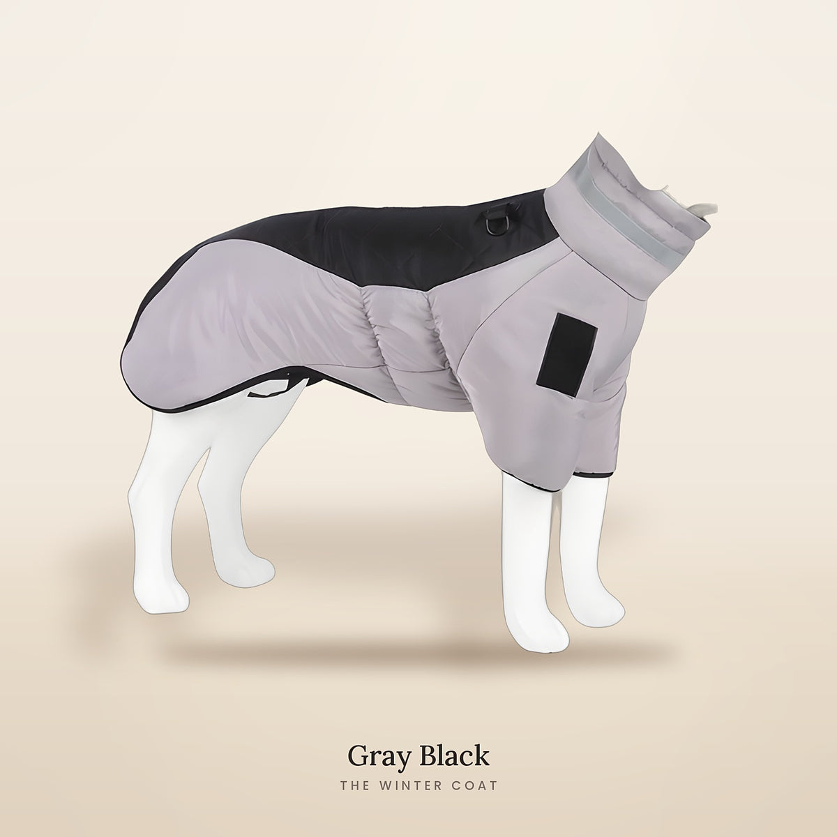 The Winter Coat in Gray Black