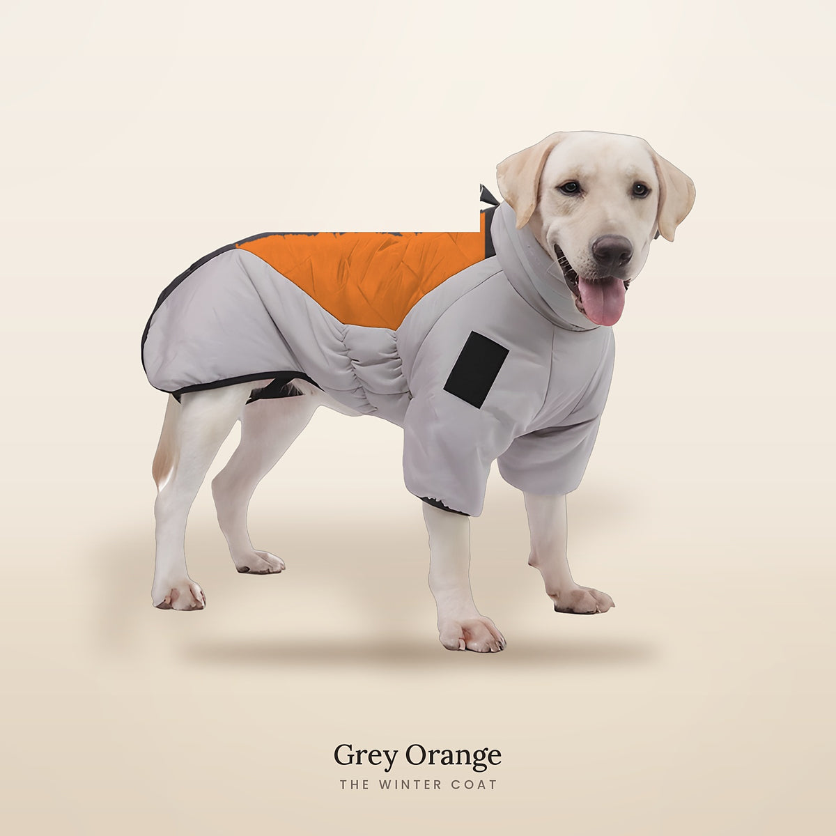 The Winter Coat in Grey Orange